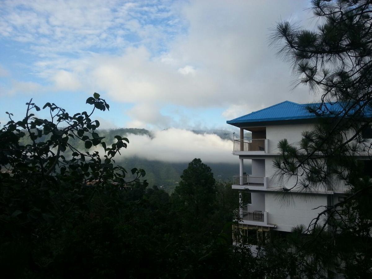 Terrace Retreat Bed & Breakfast Kasauli Eksteriør bilde