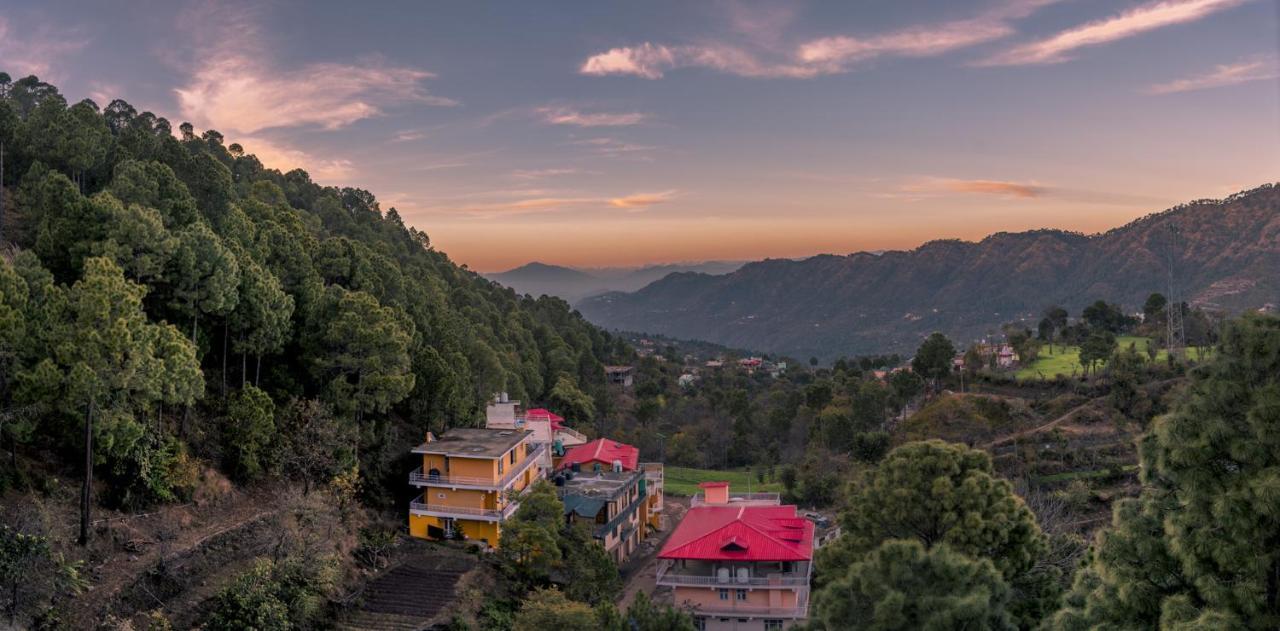 Terrace Retreat Bed & Breakfast Kasauli Eksteriør bilde
